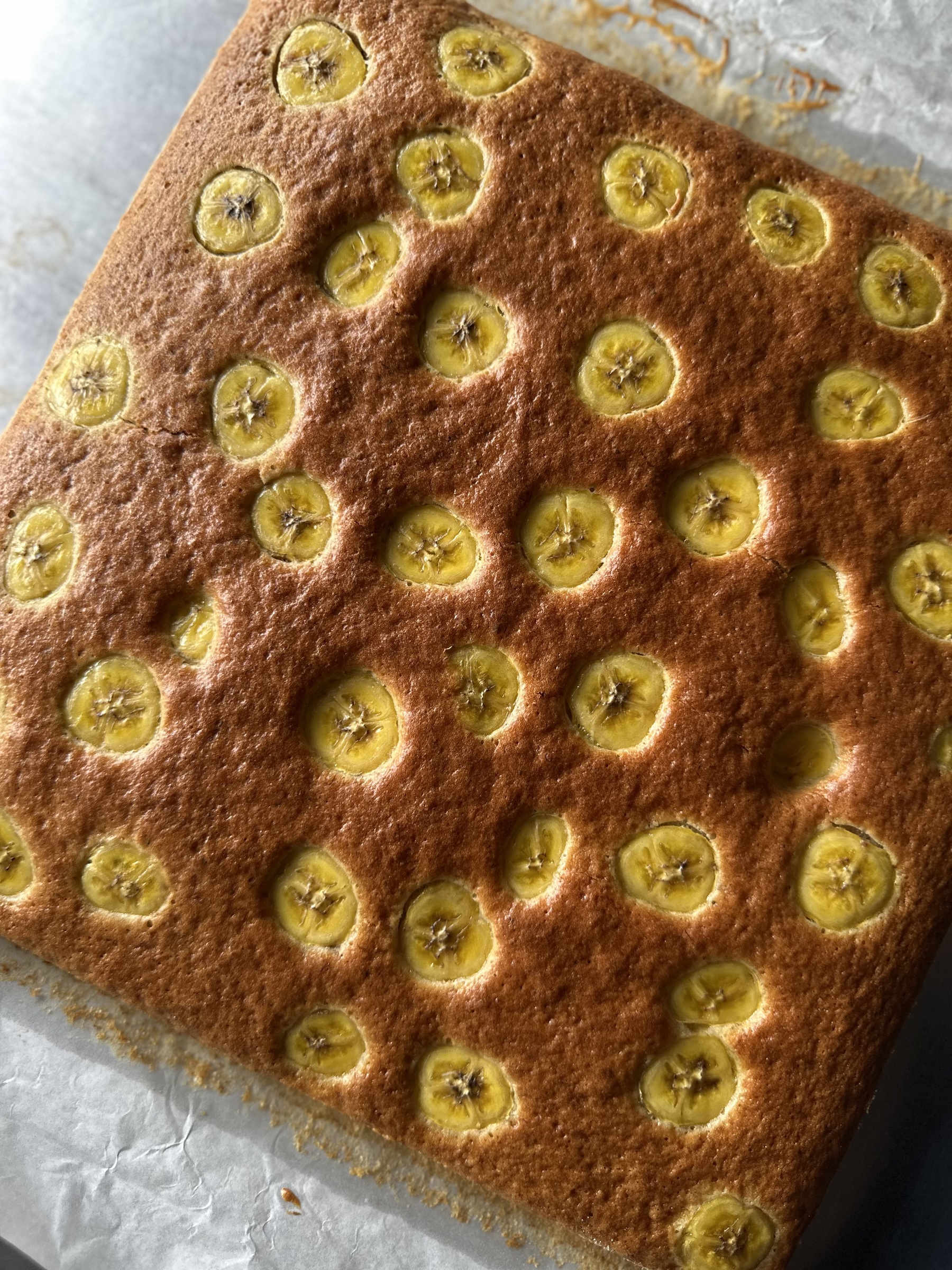 image_5978DF6C-4BA2-4791-AEDE-86A9997C85DC_1764151094