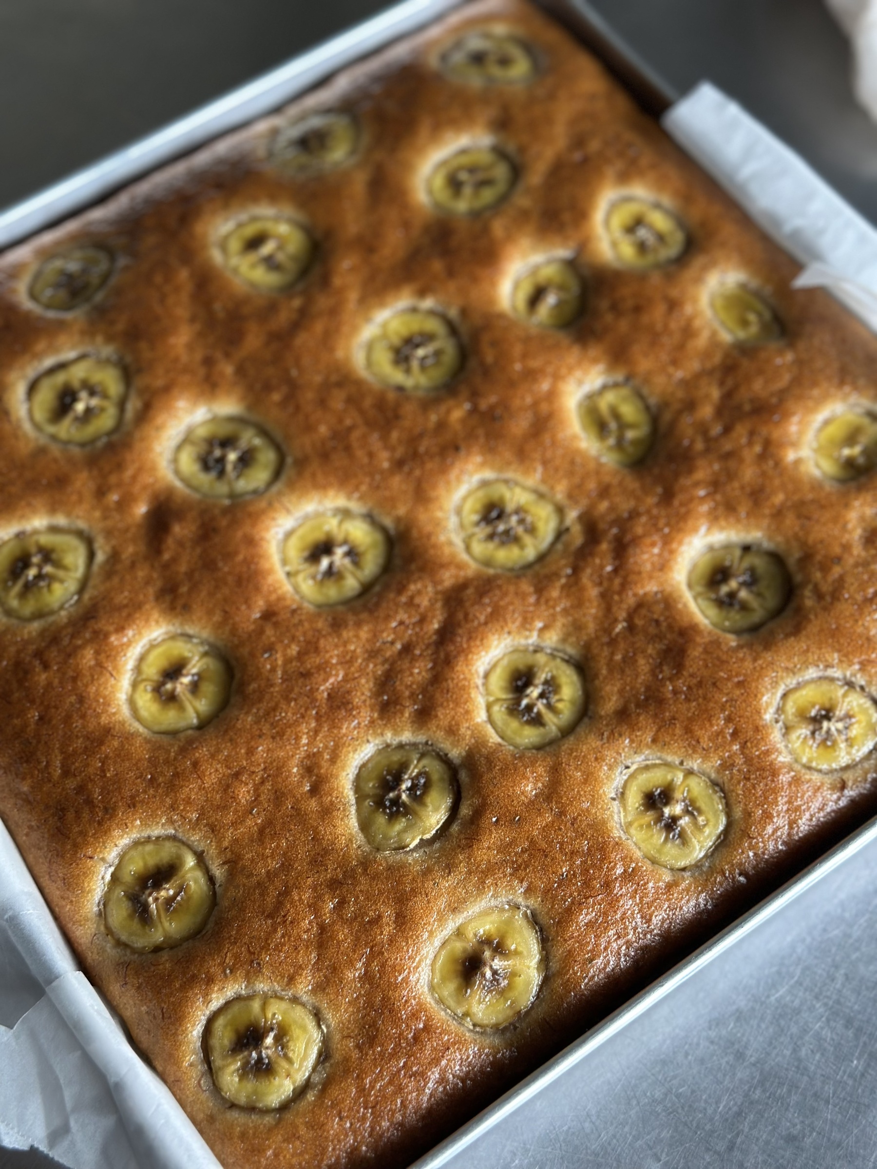 image_EFE07E13-7458-4938-9704-45C5BF490DFF_1764151094