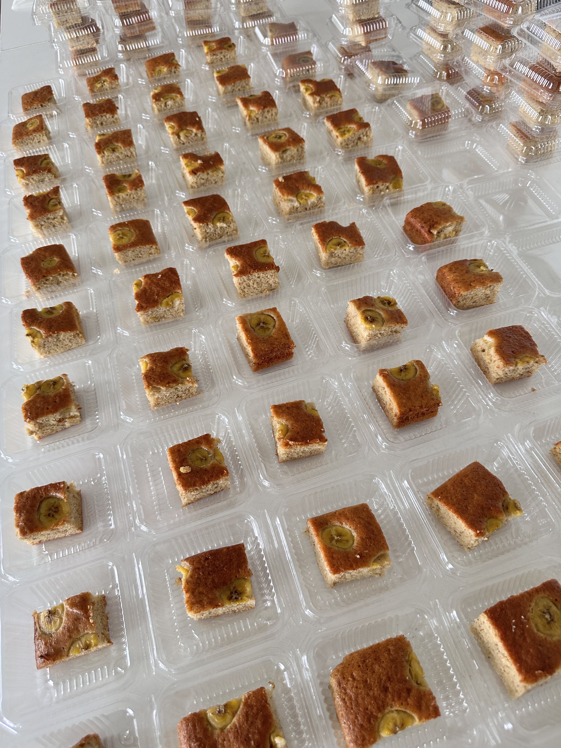 image_E9AFFB65-7287-44BB-8CA6-8C43E60470ED_1764564152