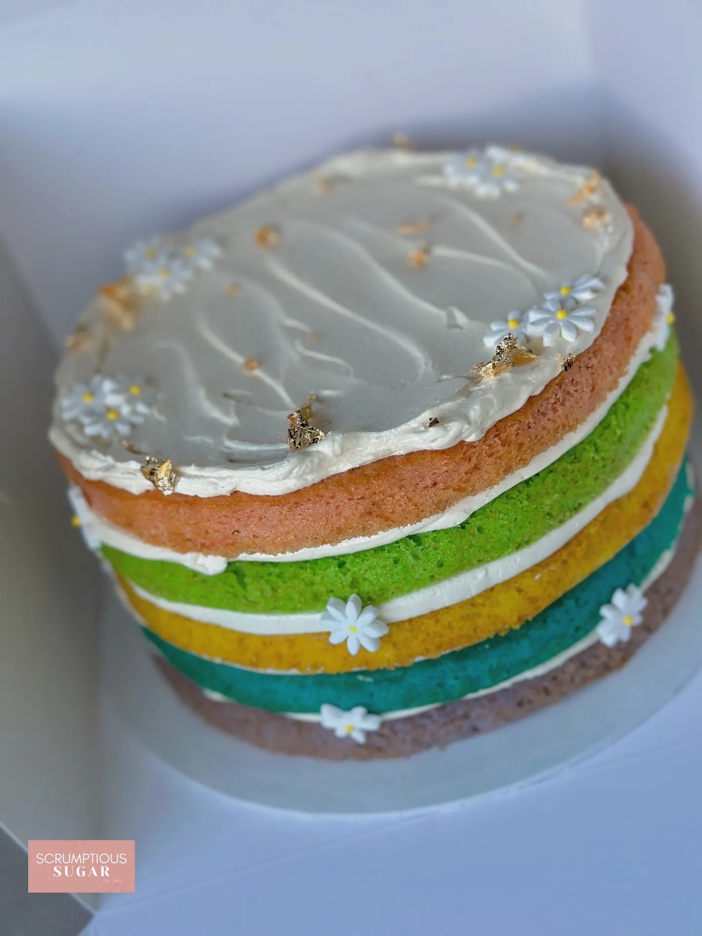 image_1507F7AE-925F-4088-852D-8E717DB3CA49_1765254384