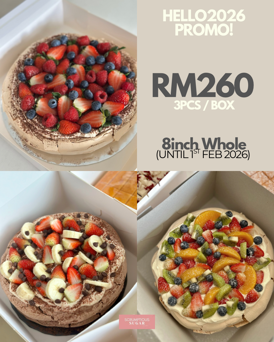 image_91EC69DB-78FF-433B-A05C-AFBA40961482_1767342717