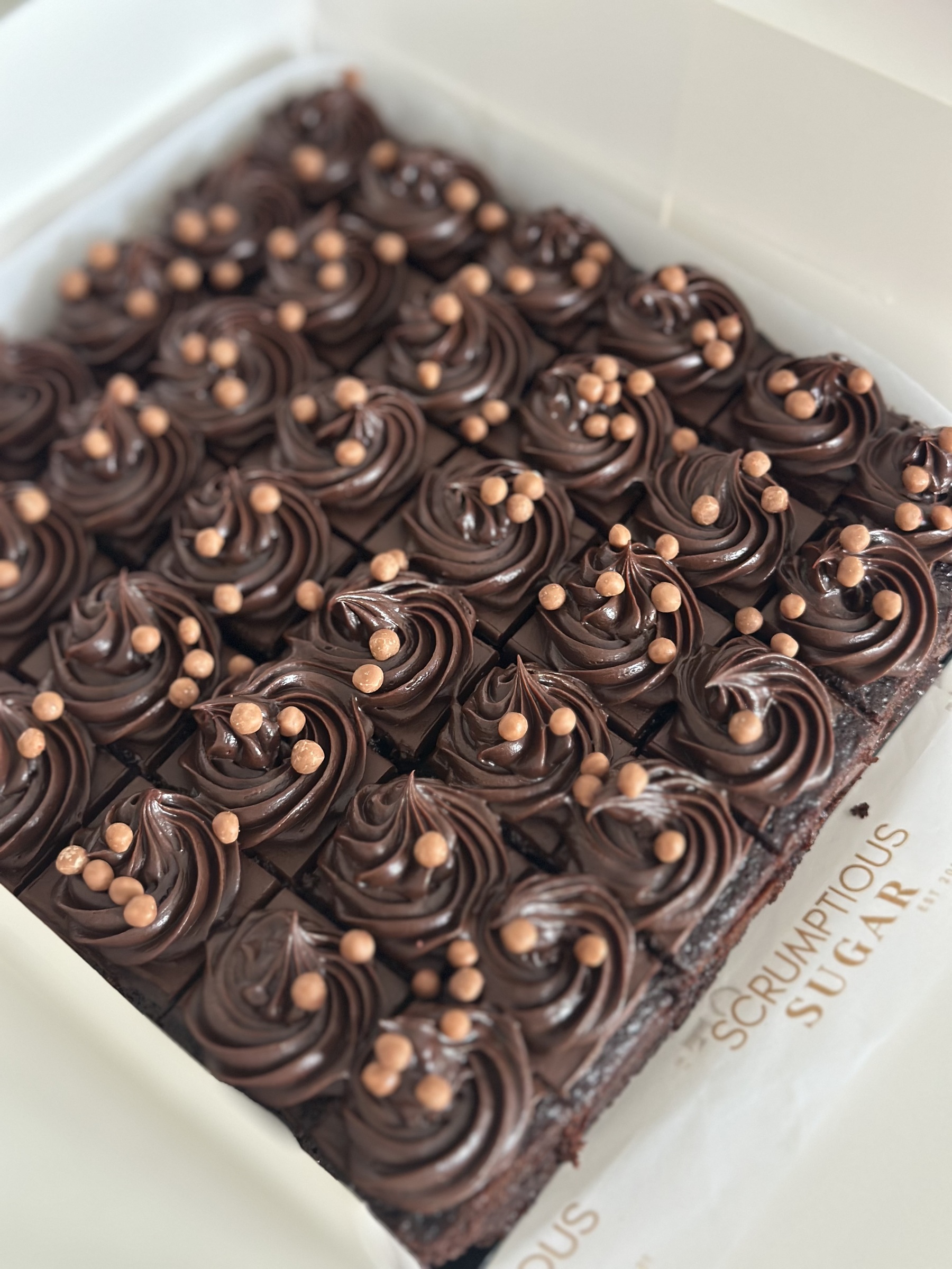 image_FA148A9D-95A8-44D0-BE1F-B0ED7CFC7F09_1769169137