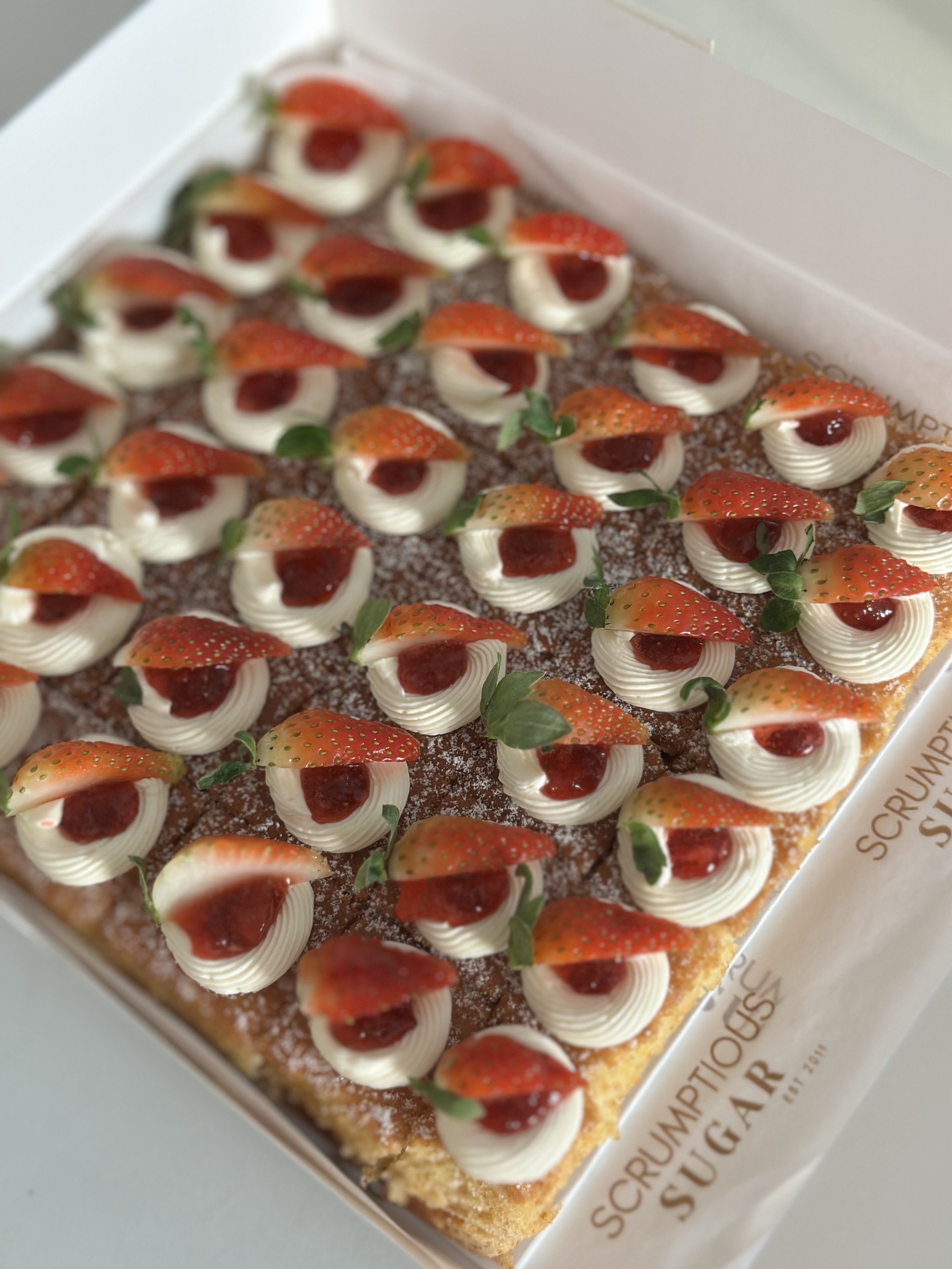 image_7AA44A1E-3CBC-43D5-AFDD-D2609B1AA331_1769169272