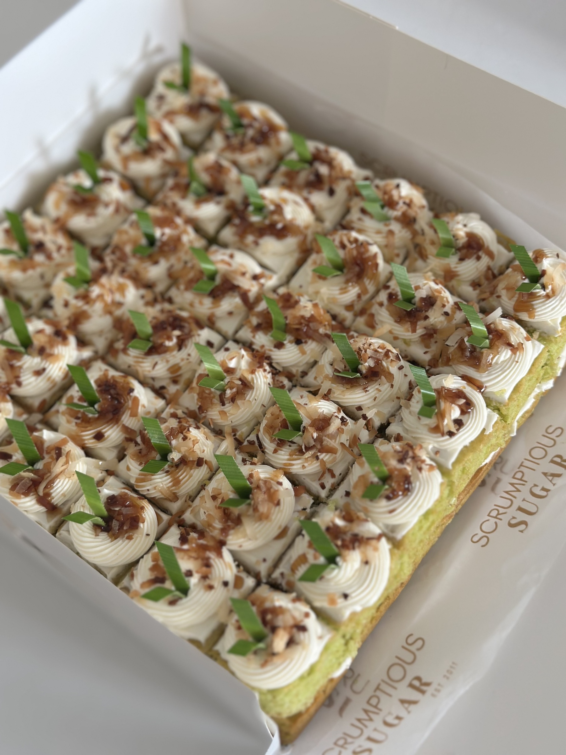 image_7DC142C0-082D-479E-B6C8-54341C01F55E_1769169521