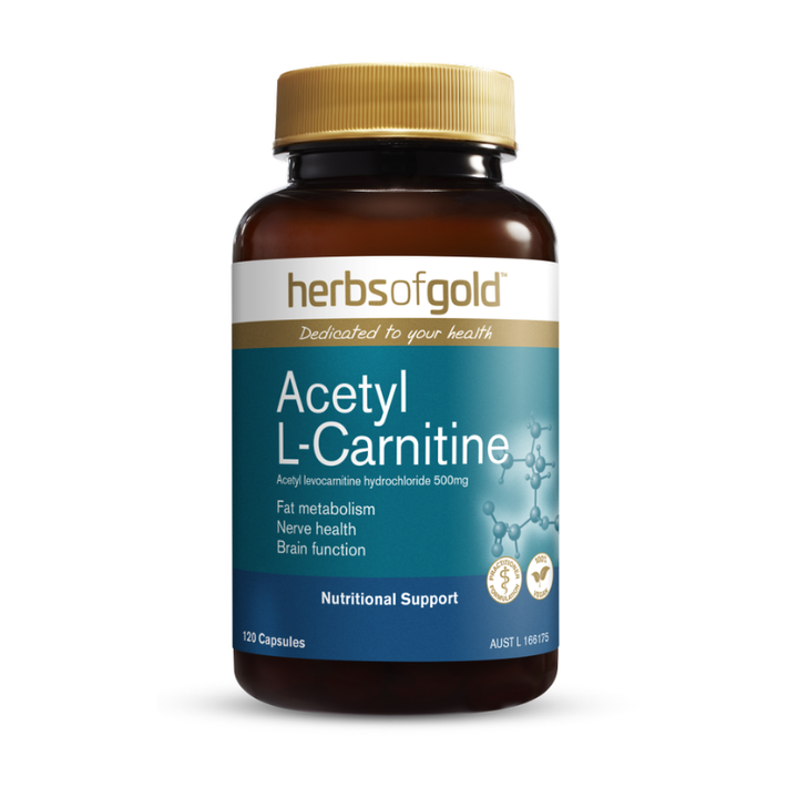 hog-acetyl-l-carnitine-120c-png_800x800_crop_center.png