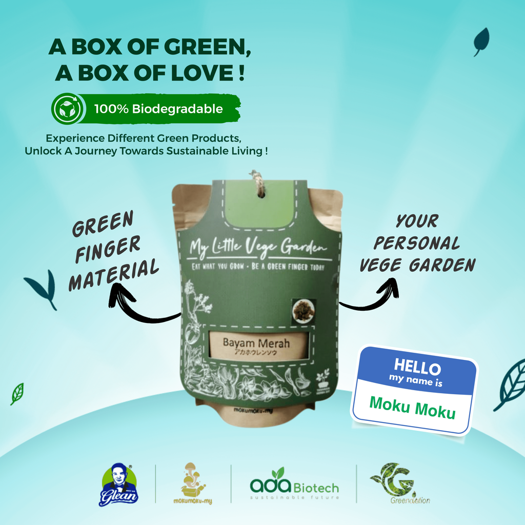 A box of Green Template [Moku Moku] (1).png