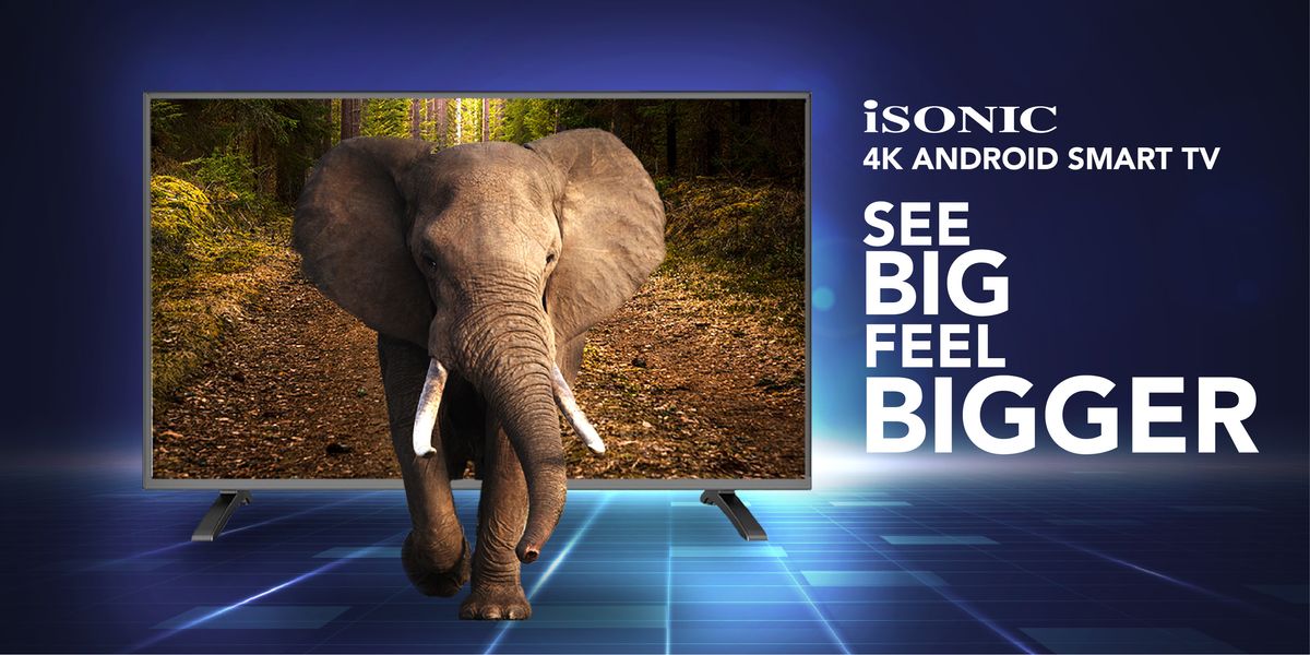 ISONIC INTERNATIONAL | 