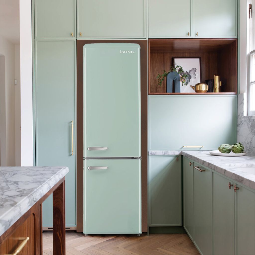 Fridge launch-03.jpg