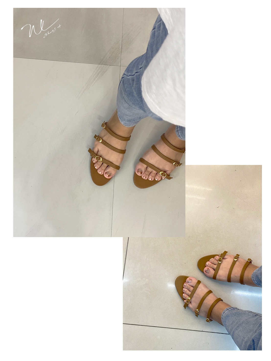 S__119889929_0_ig