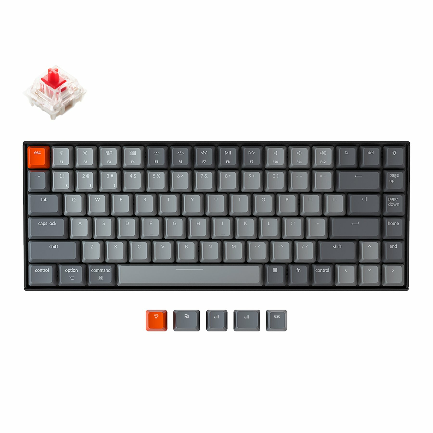 Keychron-K2-wireless-mechanical-keyboard-for-Mac-Windows-iOS-Gateron-switch-red-with-type-C-RGB-white-backlight_9cb9d3e6-a5ac-4ac5-becb-079c7103ed2f_1800x1800