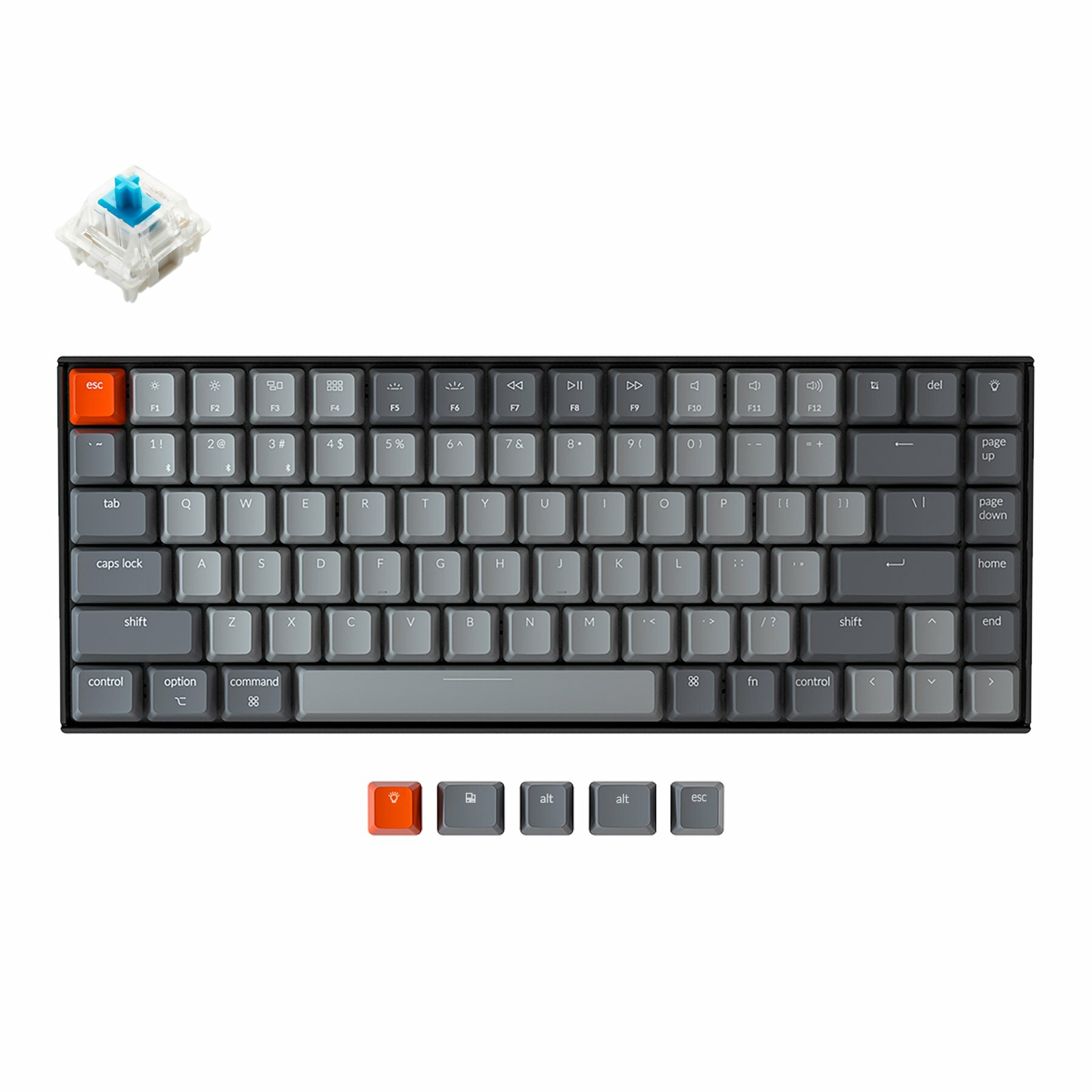 Keychron-K2-wireless-mechanical-keyboard-for-Mac-Windows-iOS-Gateron-switch-blue-with-type-C-RGB-white-backlight_7247ac65-e246-451e-b367-cd6c5b6411be_1800x1800