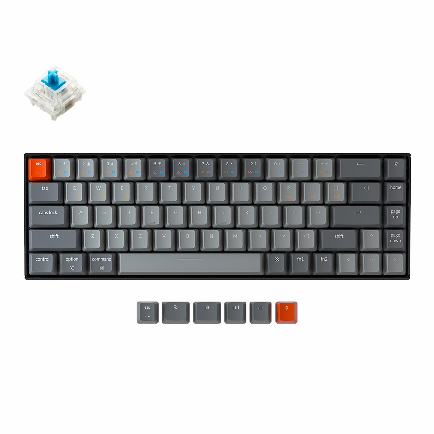 Keychron-K6-hot-swappable-compact-65-percent-wireless-mechanical-keyboard-for-Mac-Windows-iOS-Gateron-switch-blue-with-type-C-RGB-white-backlight_3d876bd9-1dbb-468f-b0de-6d6a2c98e2ba_1800x1800