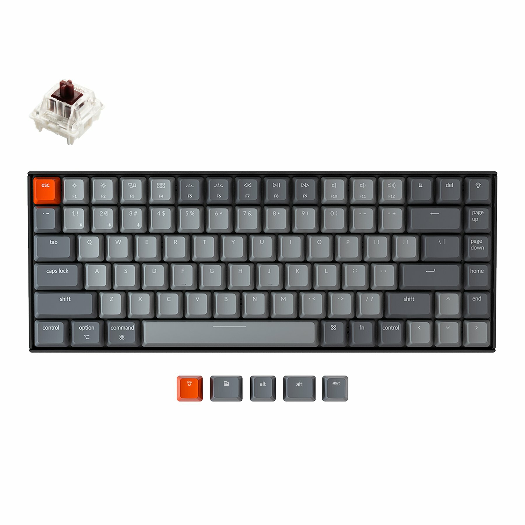 Keychron-K2-wireless-mechanical-keyboard-for-Mac-Windows-iOS-Gateron-switch-brown-with-type-C-RGB-white-backlight_53059406-af50-40d8-8566-c3b5f1e85a62_1800x1800