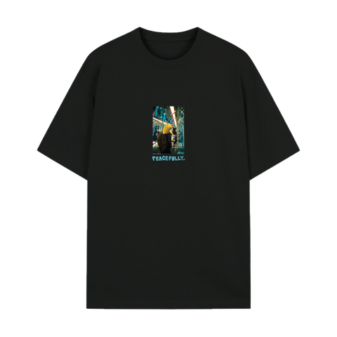 T 1