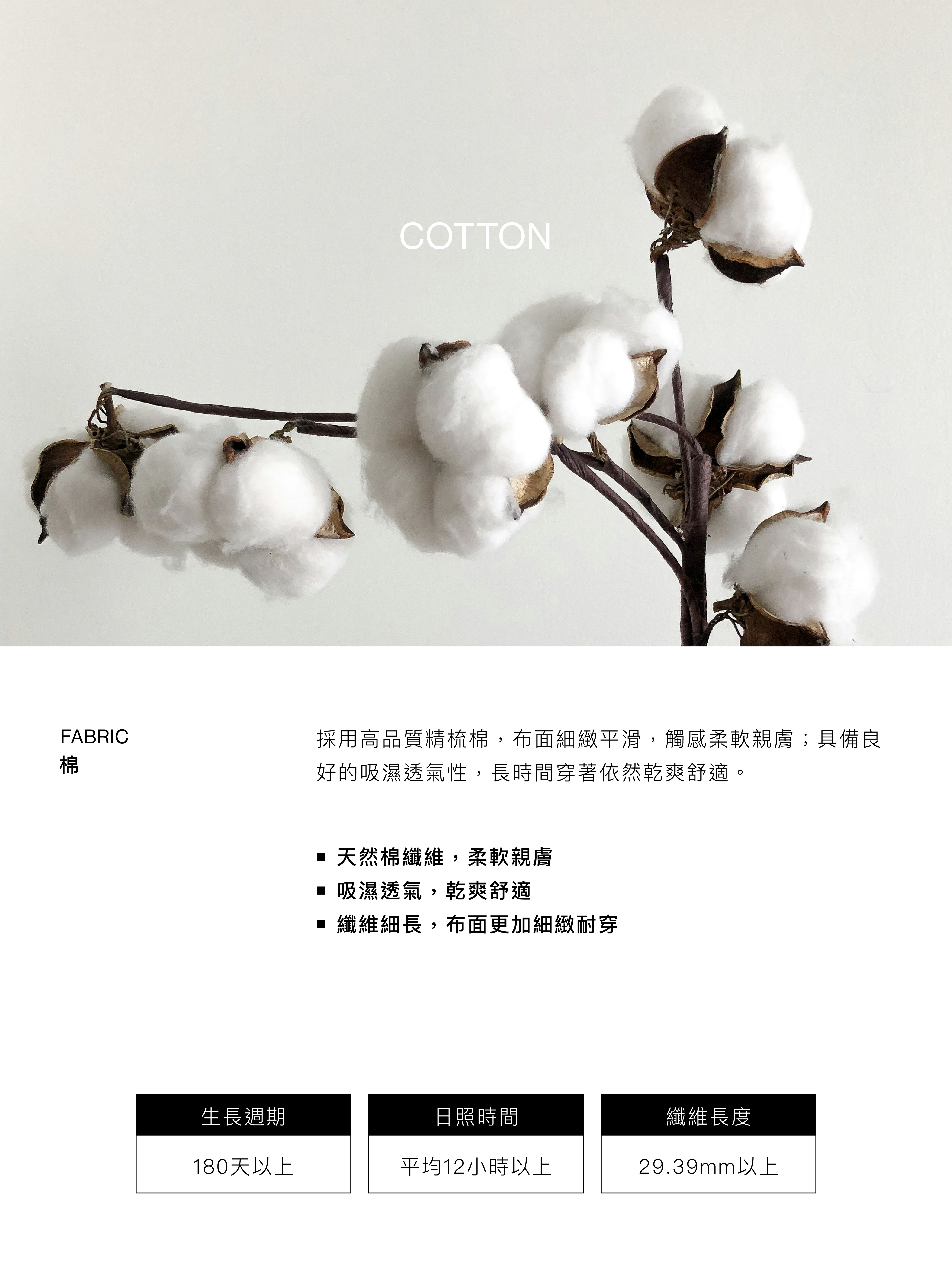 3_Cotton