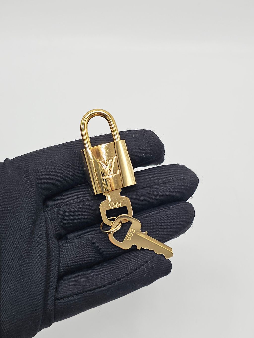 InShot_20260313_150142025