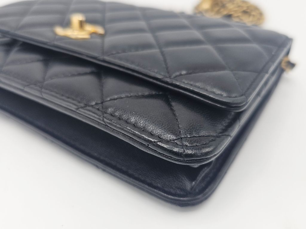 InShot_20260424_124814280