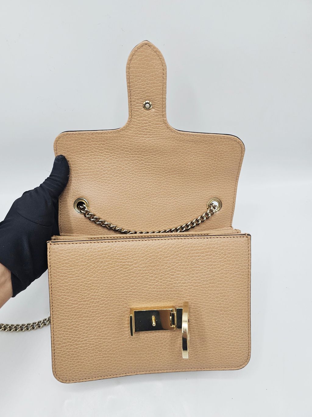 InShot_20260424_152746411