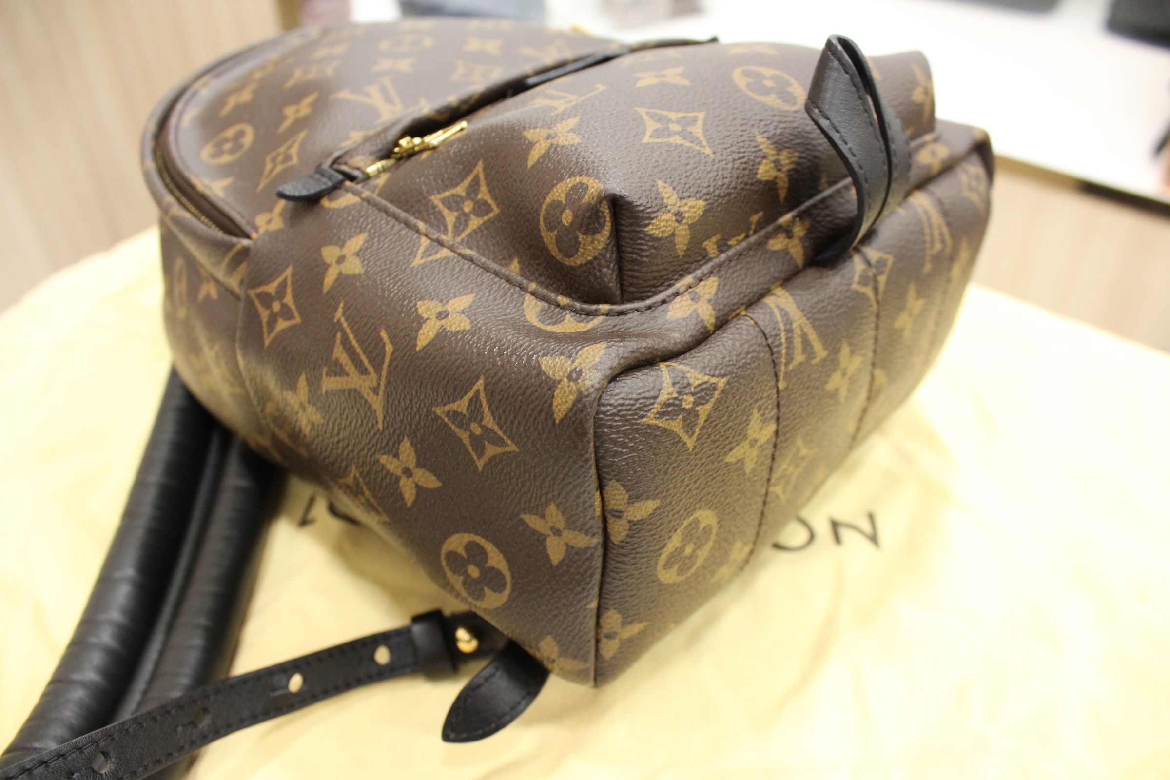 Louis Vuitton Monogram Canvas Palm Springs PM – My Paris Branded Station-Sell Your Bags And Get ...