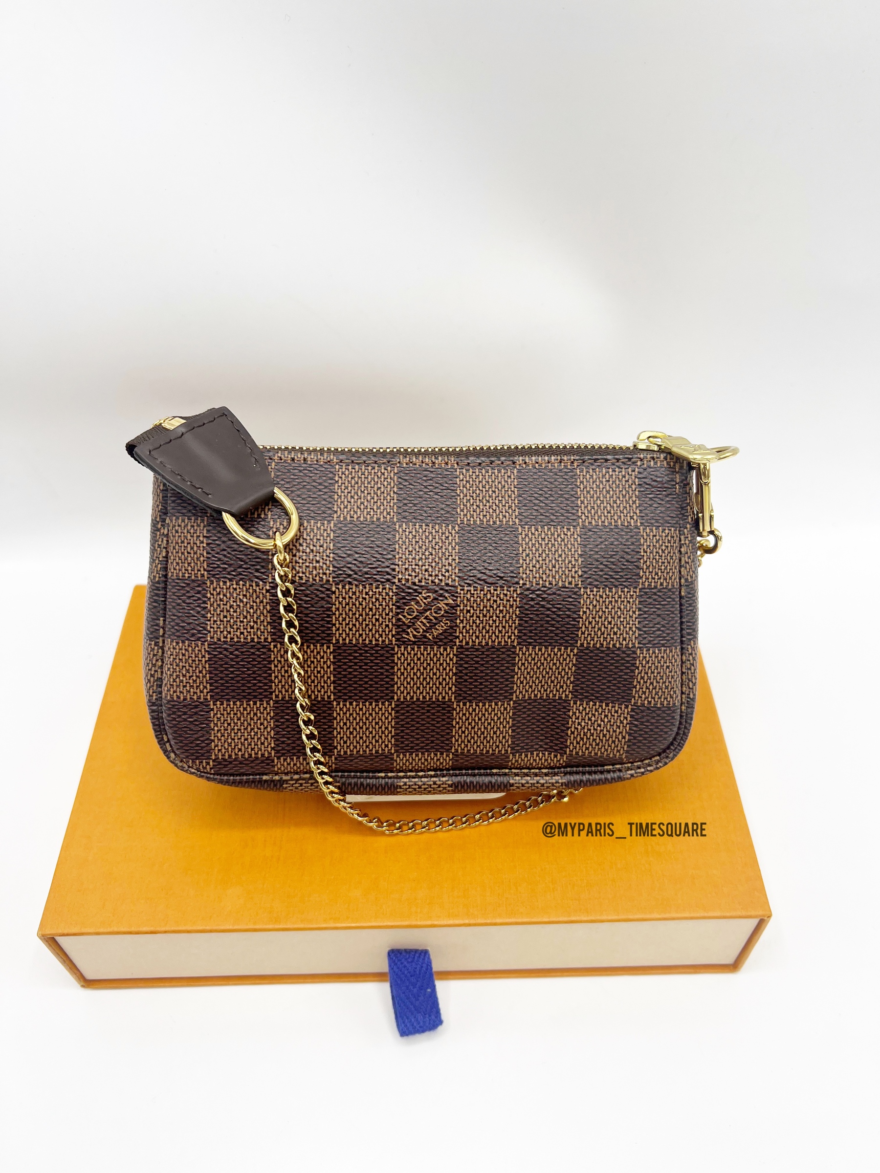 Louis Vuitton Damier Ebene Mini Pochette Accessoires – My Paris Branded  Station-Sell Your Bags And Get Instant Cash