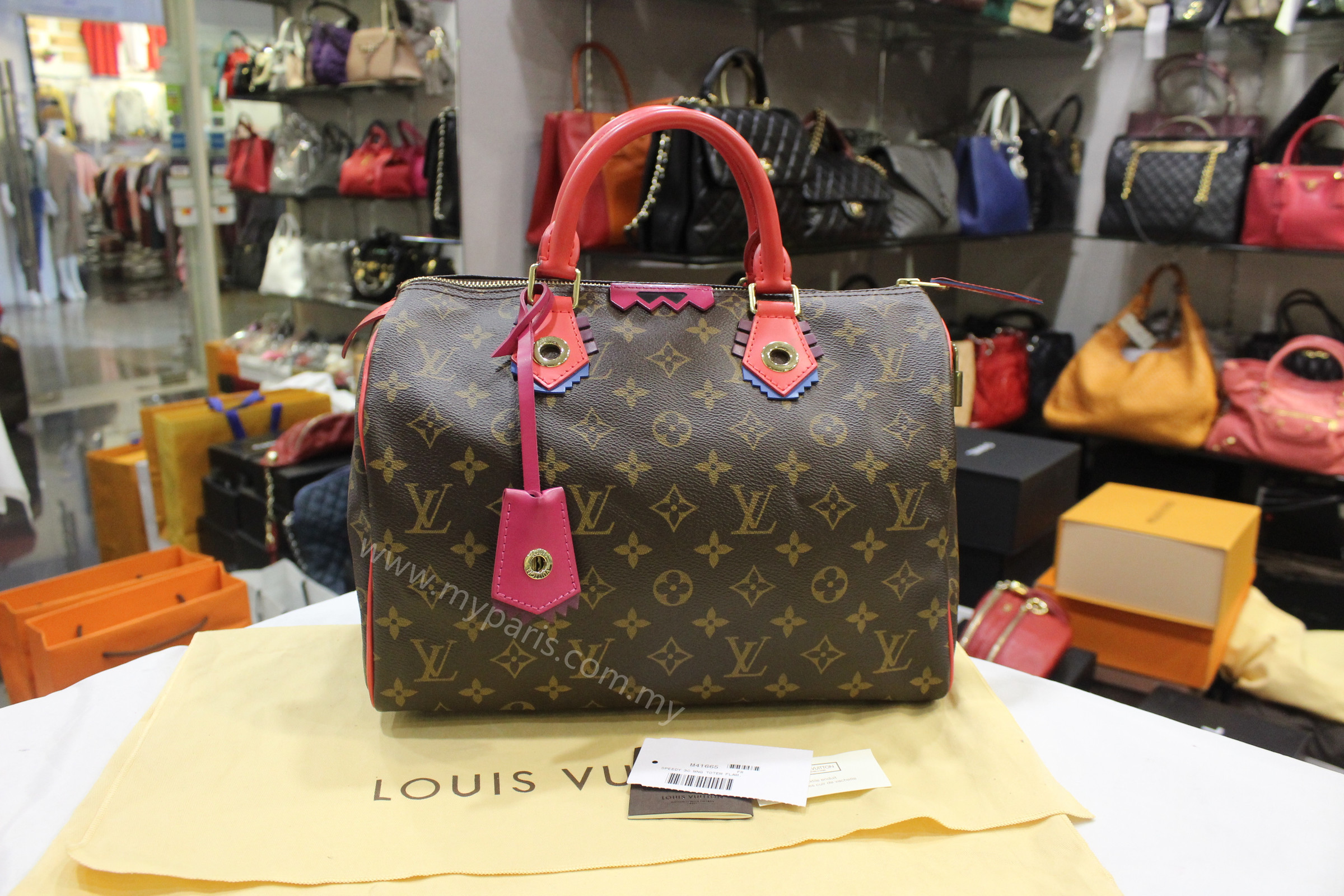louis vuitton totem speedy
