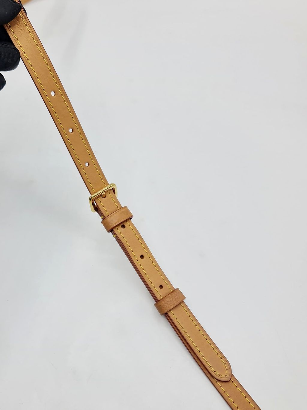 15d539ed-b2c1-4318-8ce1-d0b53117f2d5