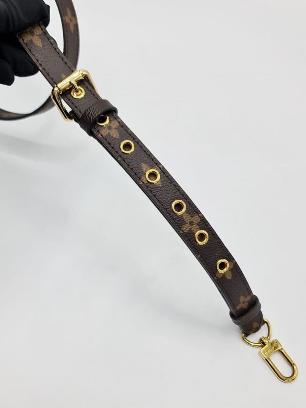 相片 2026-2-13 11 32 54