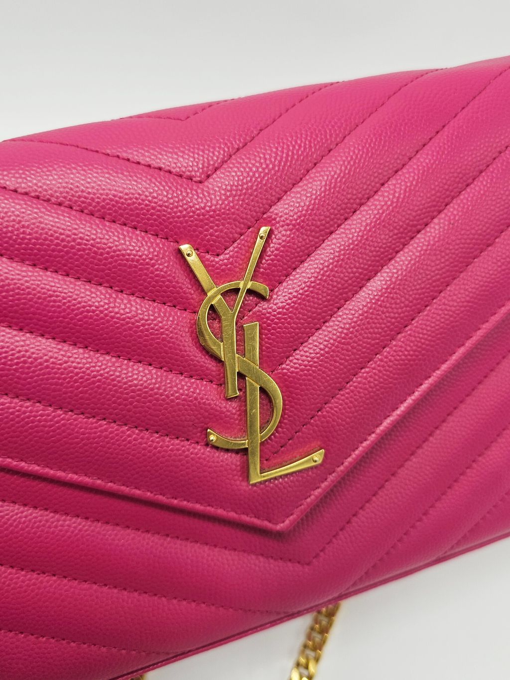 InShot_20260226_150635632