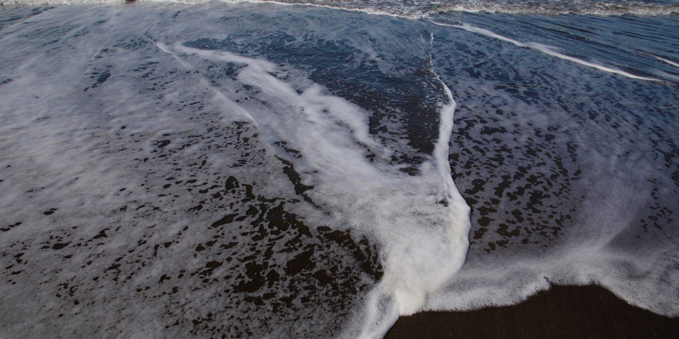 AMAD COLLECTIO 桉槾品選 | 會員獨享優惠