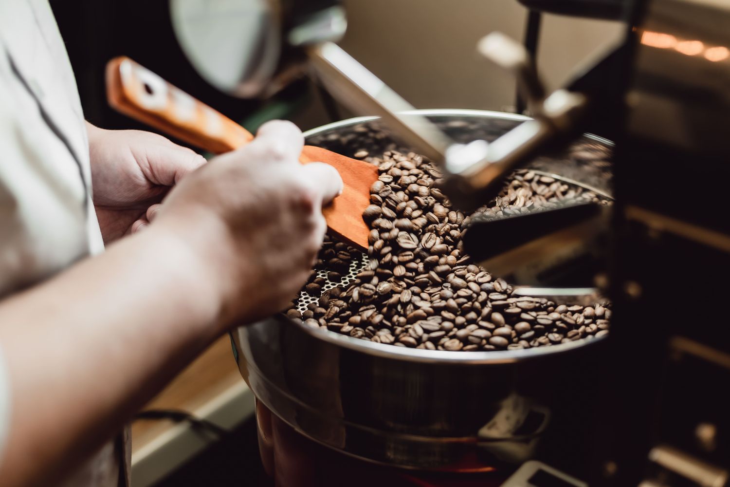 The Rising Coffee Roasters | Single Origin Coffee