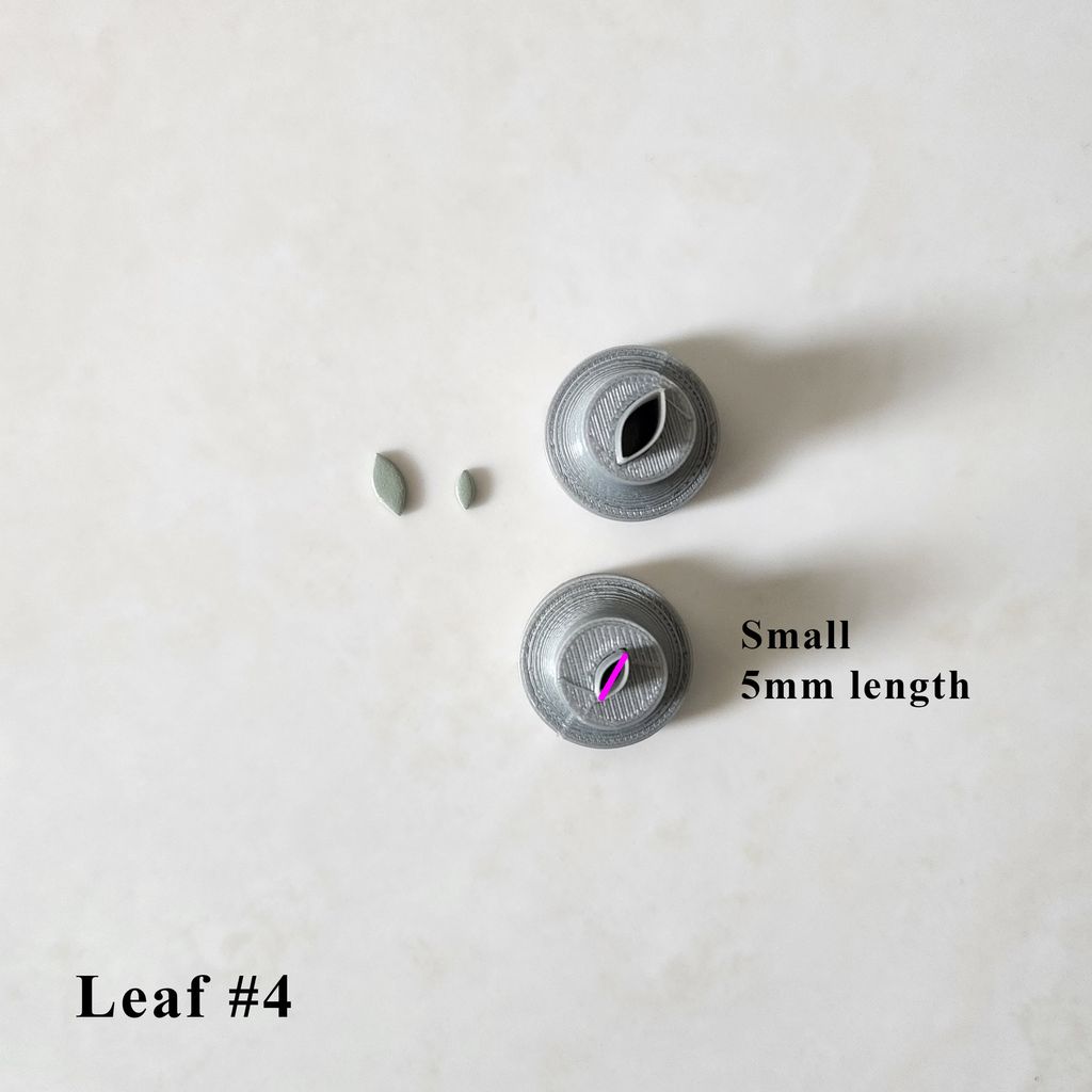 leaf 4 small.jpg