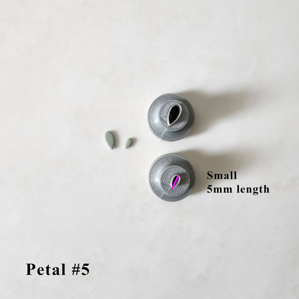 petal 5 small.jpg
