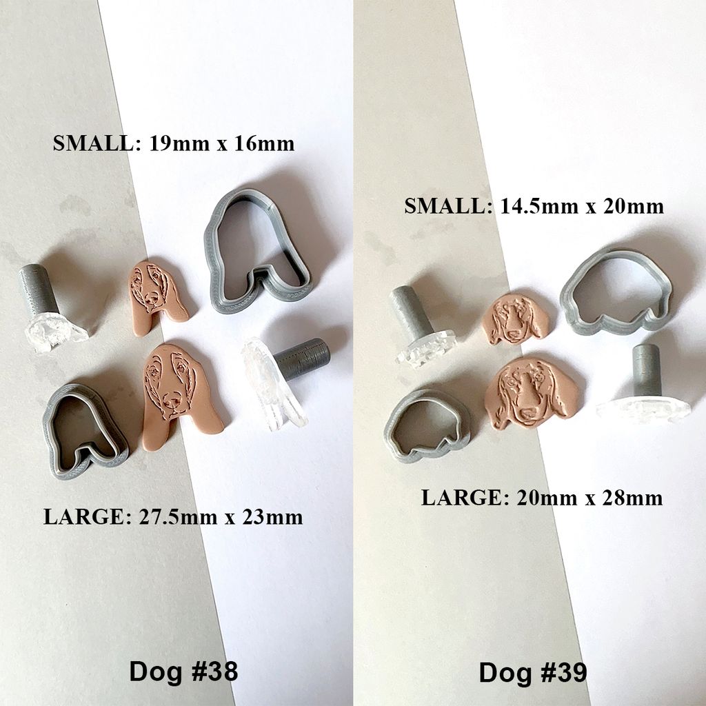 dog 3