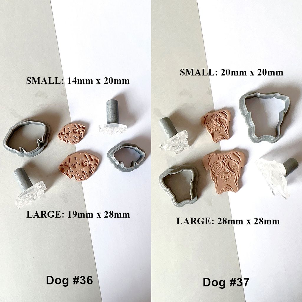 dog 2