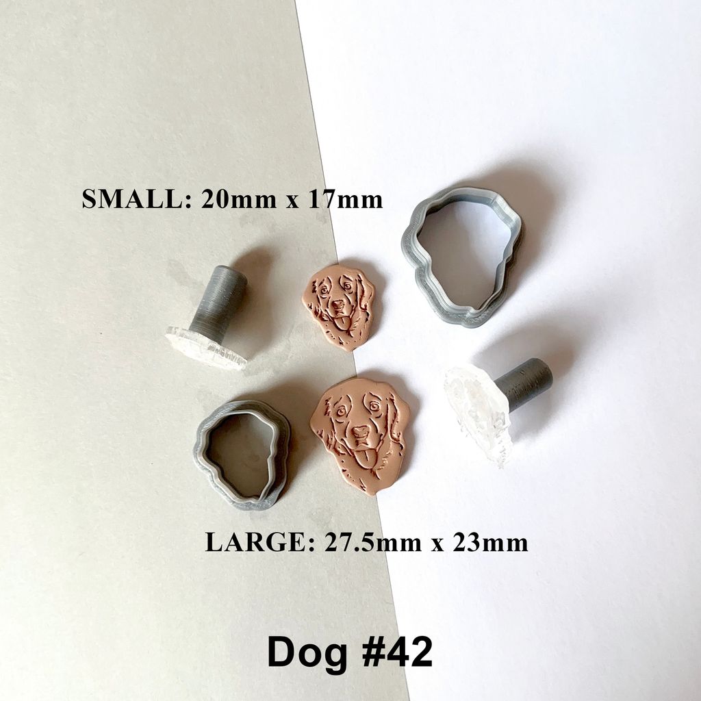 dog 5