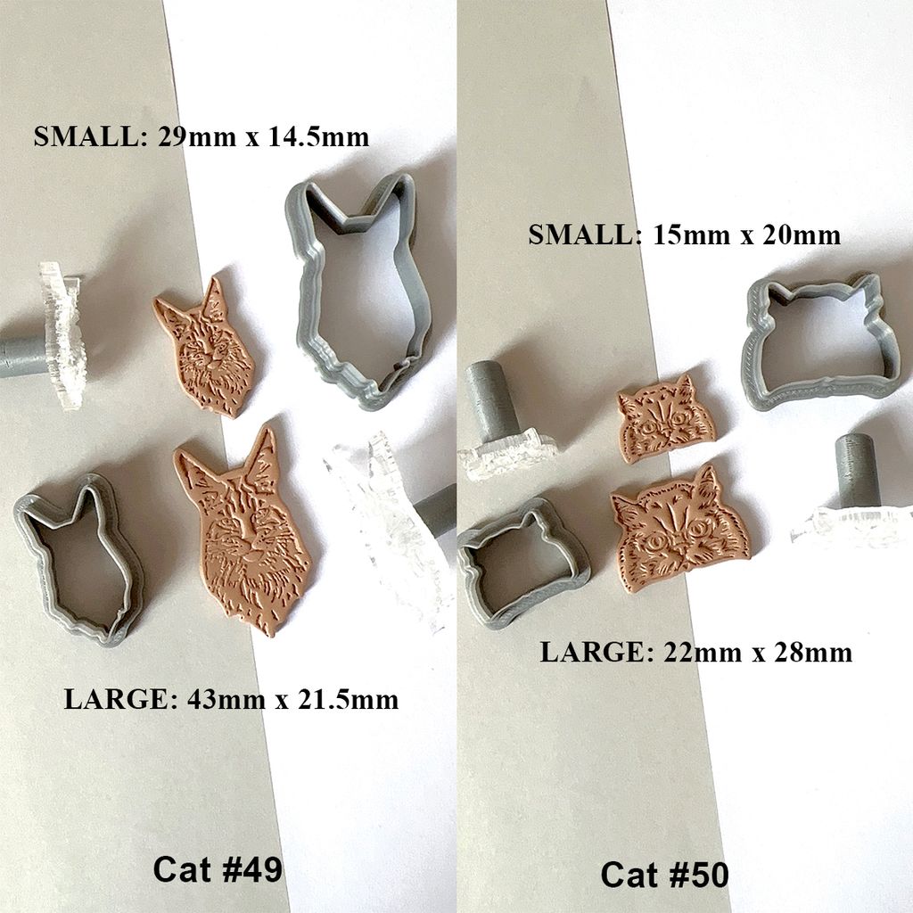 cat 2