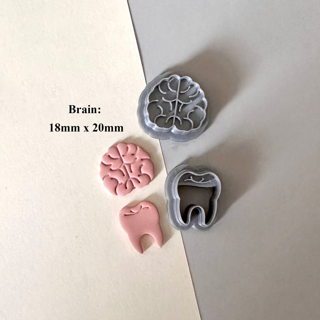 brain