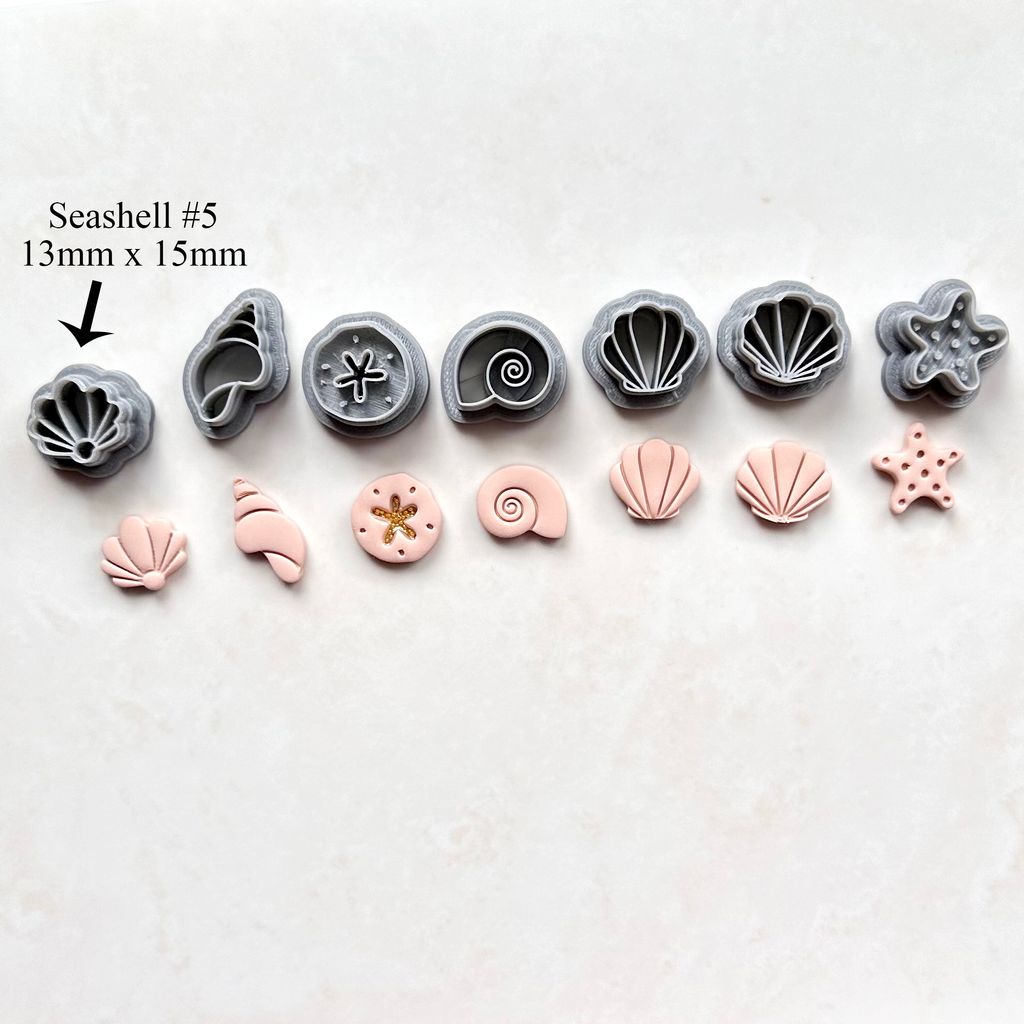 seashell 5