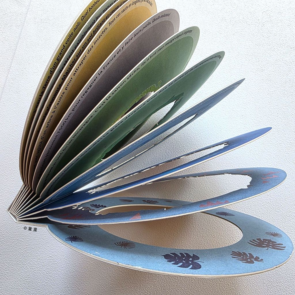 fotor-20250508131554