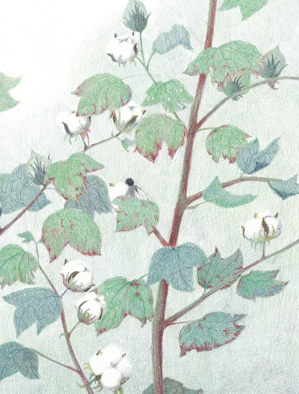 1268563281658254a89970f