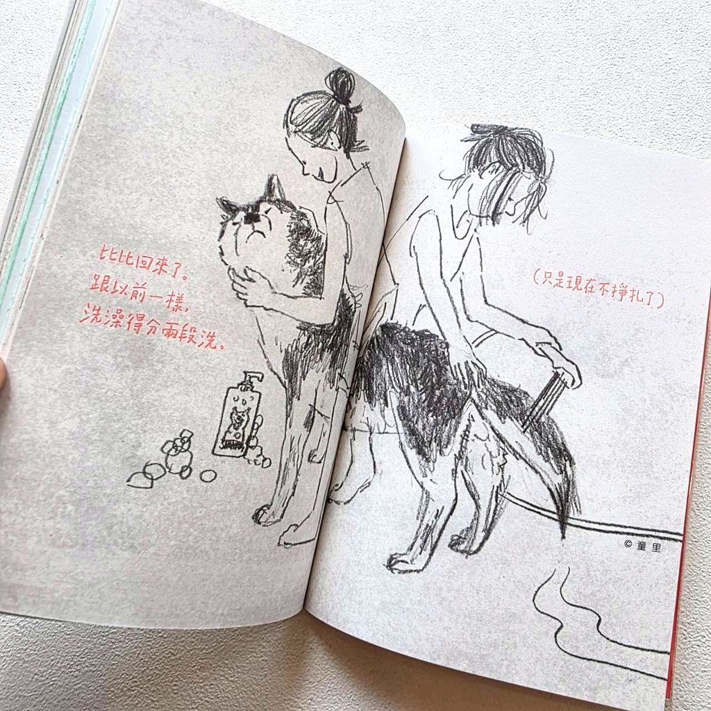 fotor-20260312132734