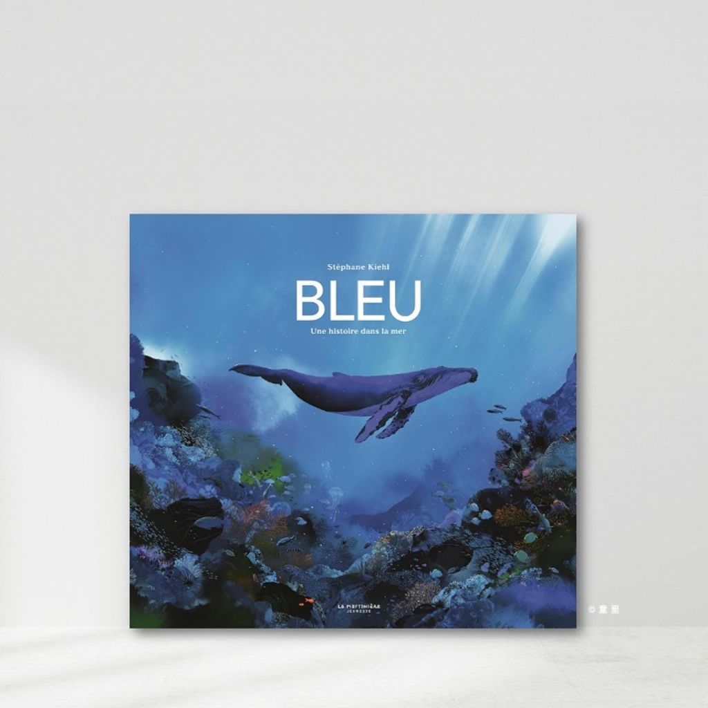 Web-Cover_封面格式202412