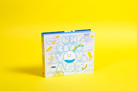 un-beau-voyage-delphine-panique-cover