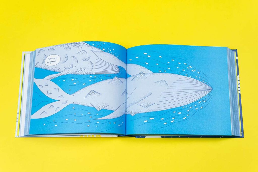 un-beau-voyage-delphine-panique-misma-4