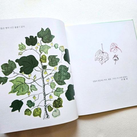 fotor-20260318194540