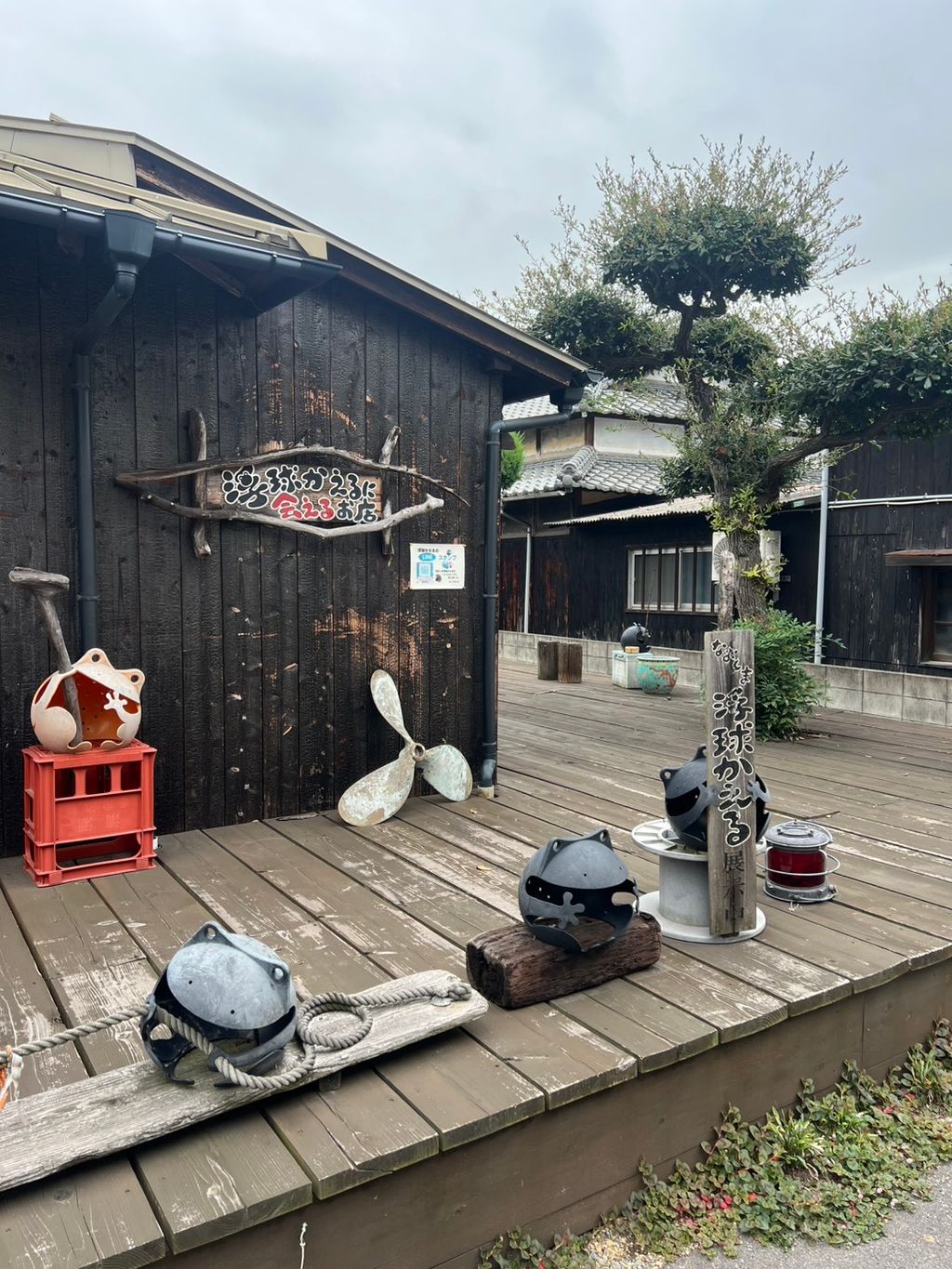 瀨戶內直島上的青蛙