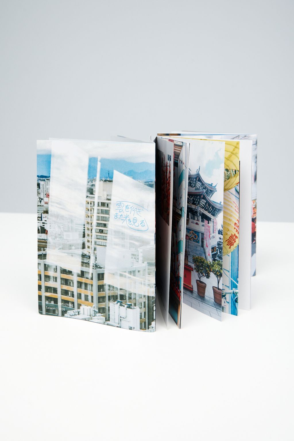 抬頭撥雲又見日作品照-13