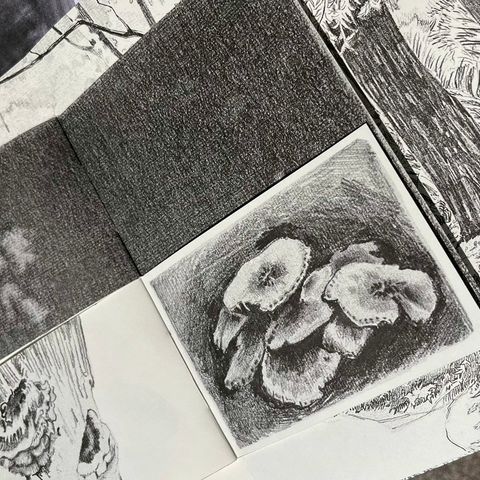 小田03