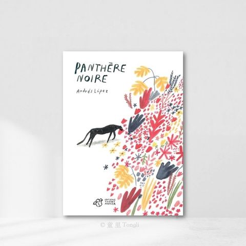 Web-Cover_Panthère noire
