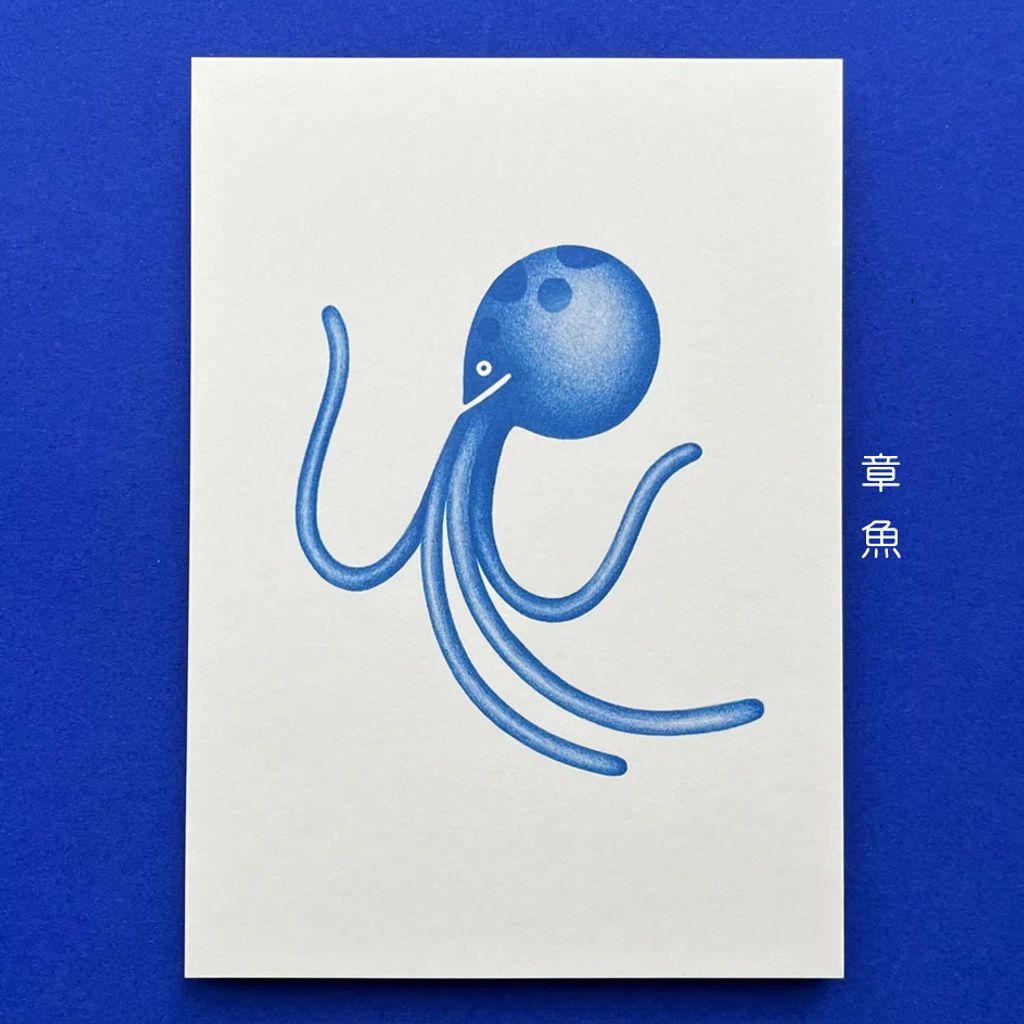 Postcard Marine Life 5 - Chobotnice 明信片-海洋生物：章魚-fotor-2026080312329